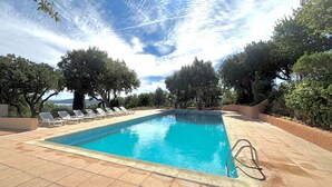 Ein rechteckiger Pool mit klarer, blauer Wasseroberfläche, umgeben von einer gefliesten Liegefläche.