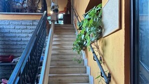 Eine Treppe mit Metallgeländer, einer an der Wand befestigten Pflanze und einem Fenster zur rechten Seite.