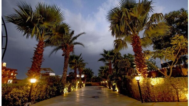 A pathway lined with palm trees and illuminated by street lamps, leading to a building with multiple windows. - Umraogarh A Unit of Raghav Vilas (Jodhpur)