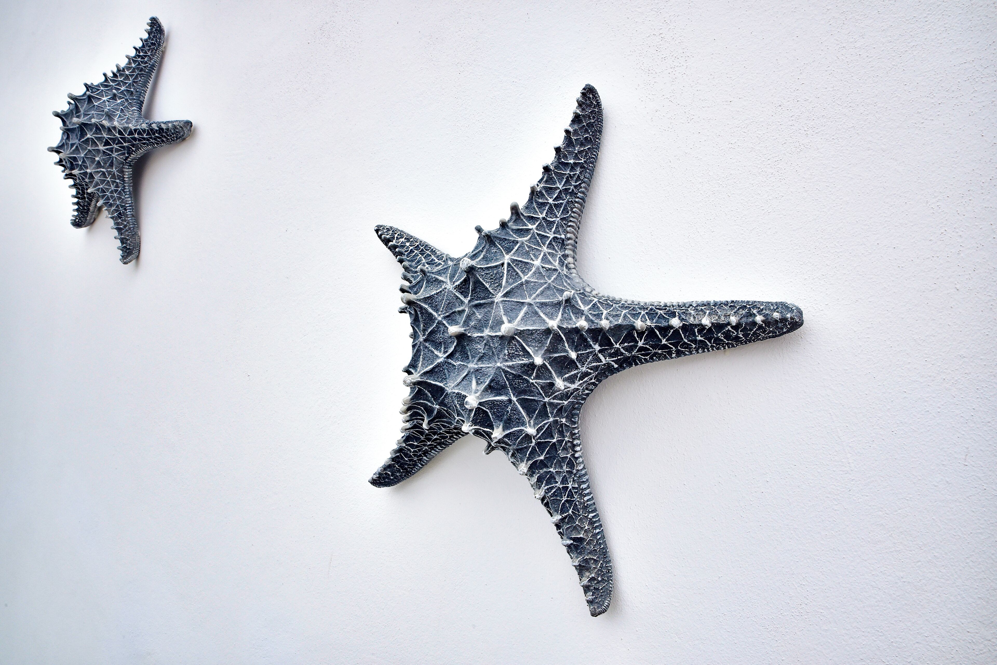 Two starfish-shaped wall art pieces.