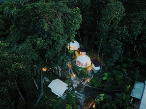 A treehouse complex with multiple spherical structures and a small building, surrounded by dense forest.