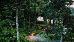 Une zone boisée abritant une structure en forme de dôme, entourée d’une végétation dense et accessible par un petit sentier.