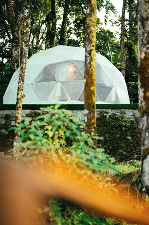 Exterior - Matahom Forest Glamping Tent 2 (Mambajao)