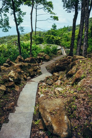 Pemandangan taman