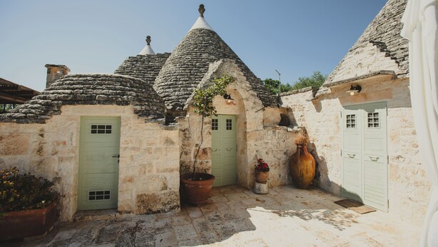 Un bâtiment en pierre avec une porte verte, une grande plante en pot et une cour dallée.