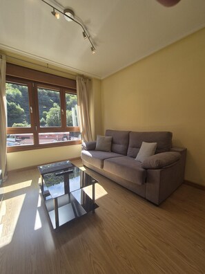 TV - 21A07 Apartment in Felechosa (Aller)