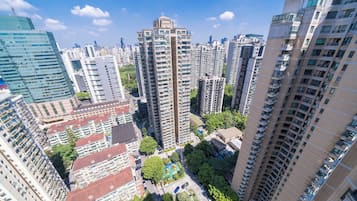 高級公寓, 4 間臥室, 陽台, 城市景觀 | 客房景觀