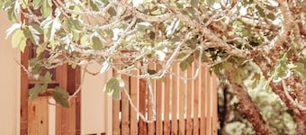 Cabanas de Melides