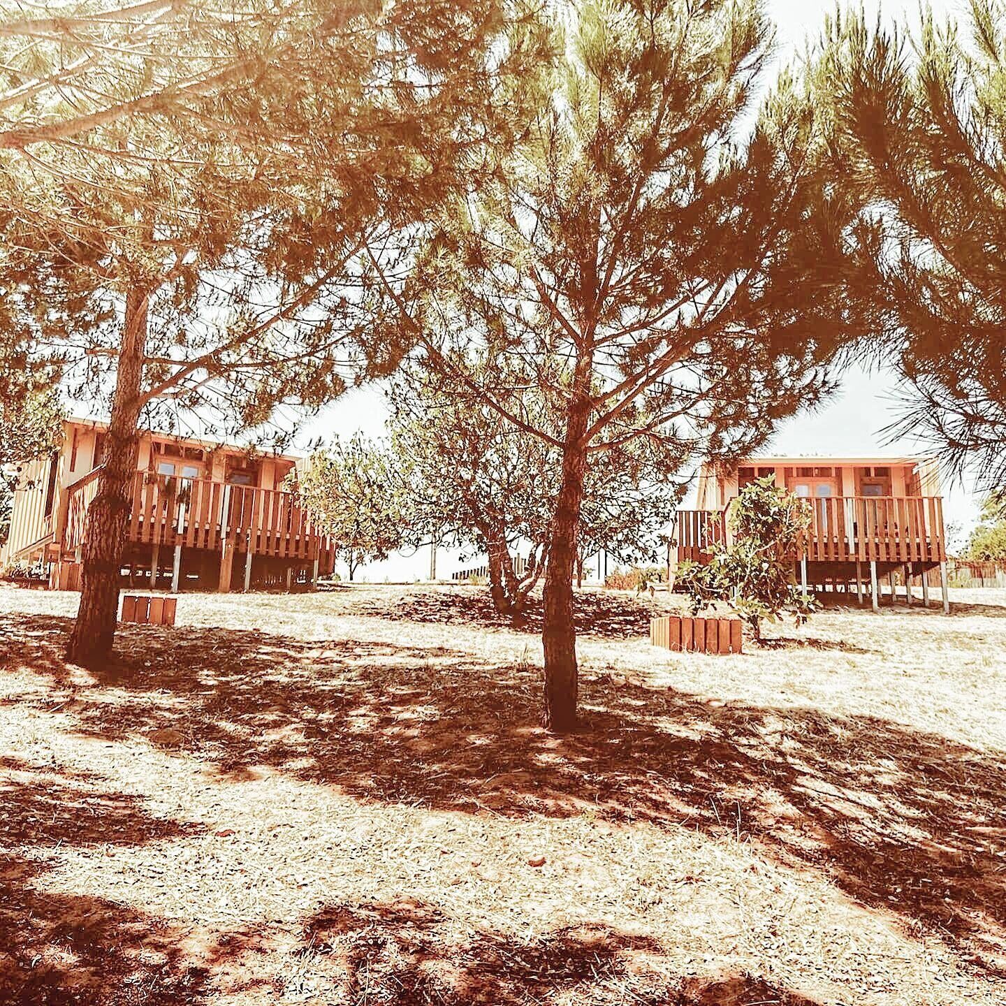A building with a wooden exterior and a covered outdoor area.