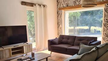 TV, fireplace, video games