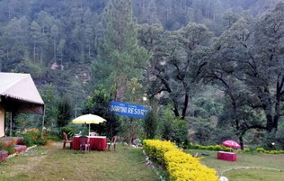 A garden area with a 'Welcome to Doronim Resort' sign, outdoor seating with umbrellas, and a well-maintained hedge.
