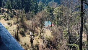 Un paysage montagneux avec un téléphérique dans le ciel, une forêt dense et un petit bâtiment au premier plan.