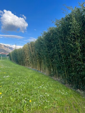 Àrea exterior de l'allotjament