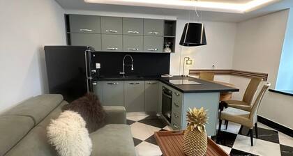 Unique Losone Apartment