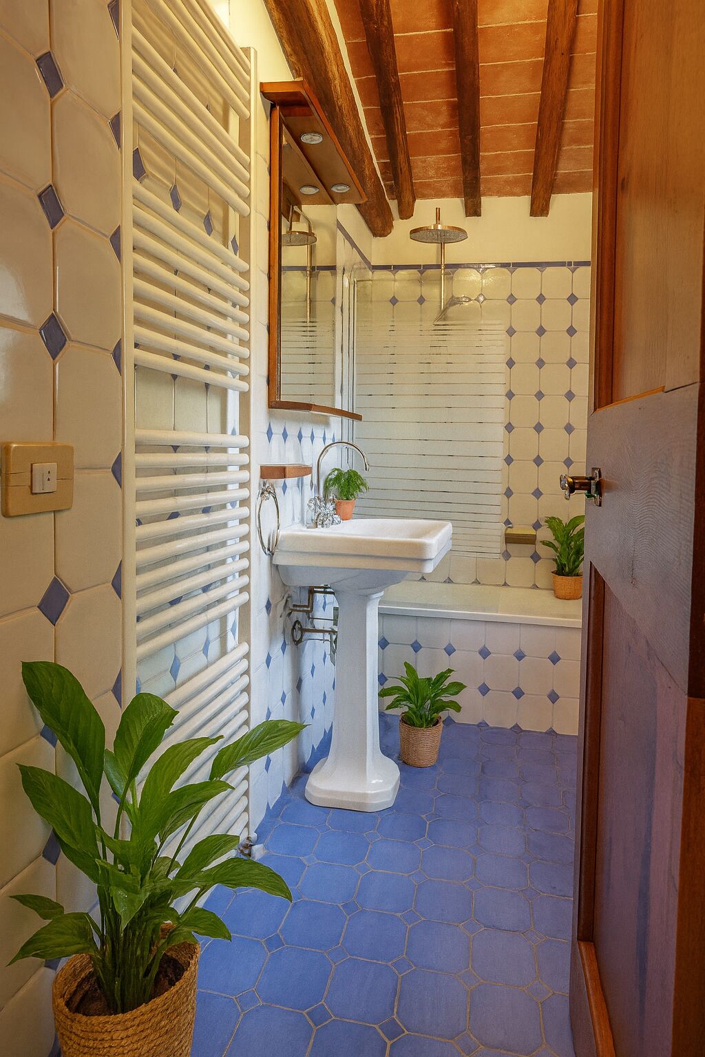 Une salle de bain avec un lavabo sur pied blanc, un miroir au-dessus, et un espace douche. Des plantes en pot sont disposées sur le sol.