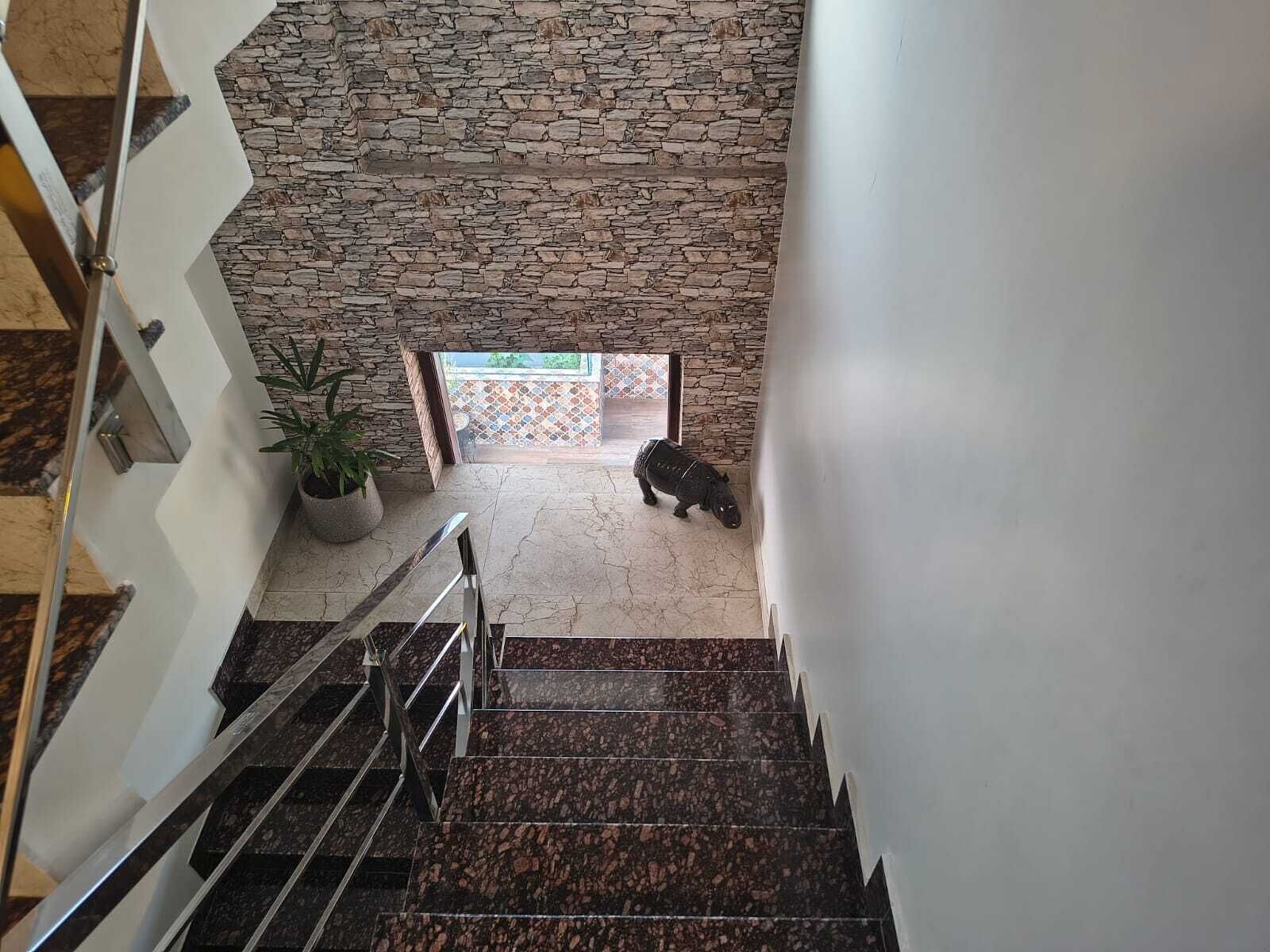 Una escalera con un muro de piedra y una planta en maceta.