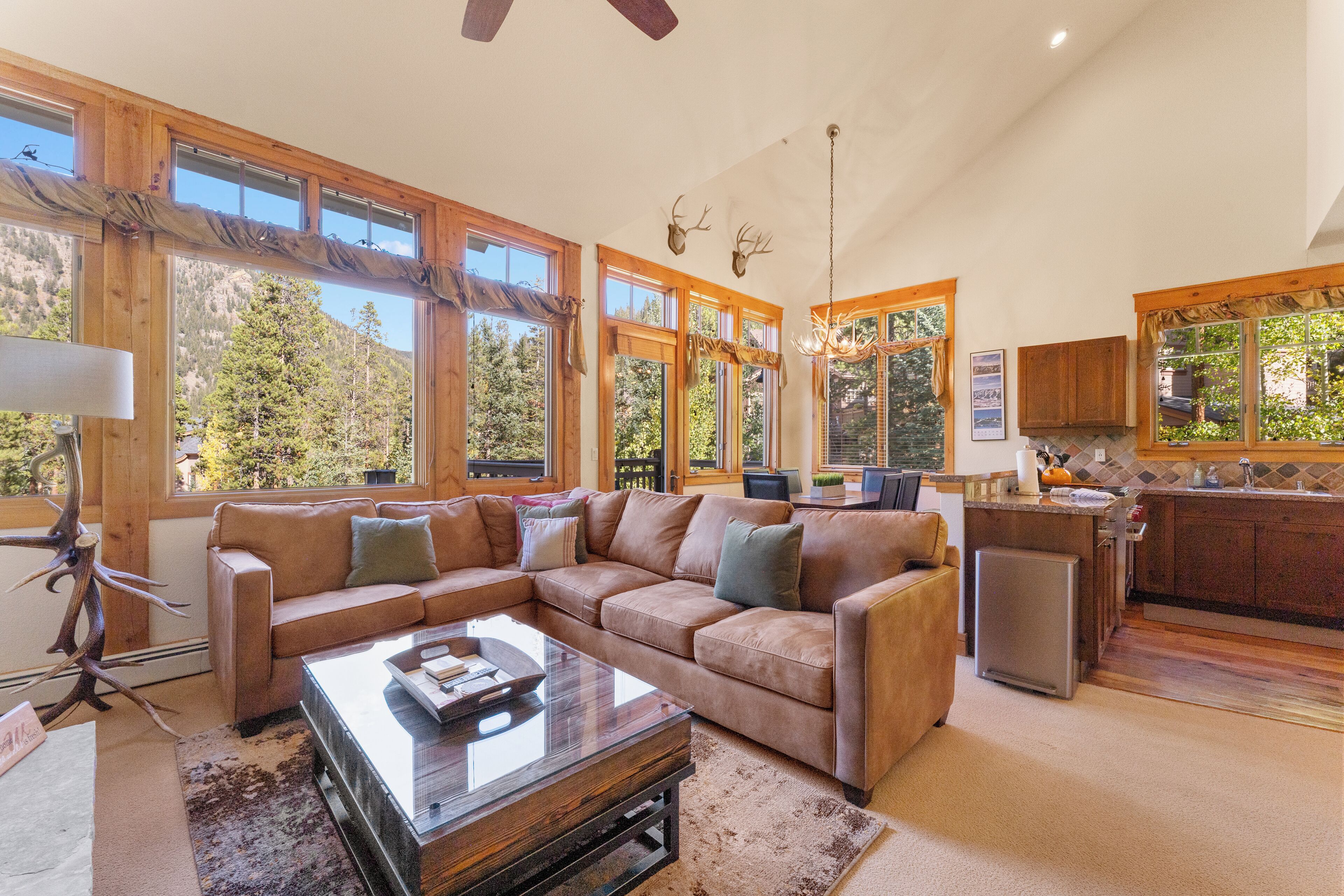 تلفزيون، مدفأة