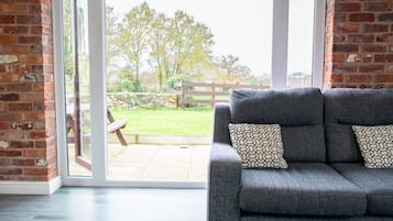 Una televisión, una chimenea