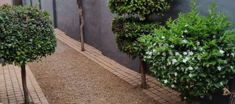 Charming Studio Oasis in Kensington, Johannesburg