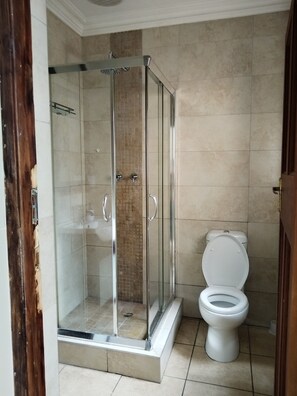 Bathroom - Charming Studio Oasis Close to Life Bedford Gardens Hospital (Johannesburg)