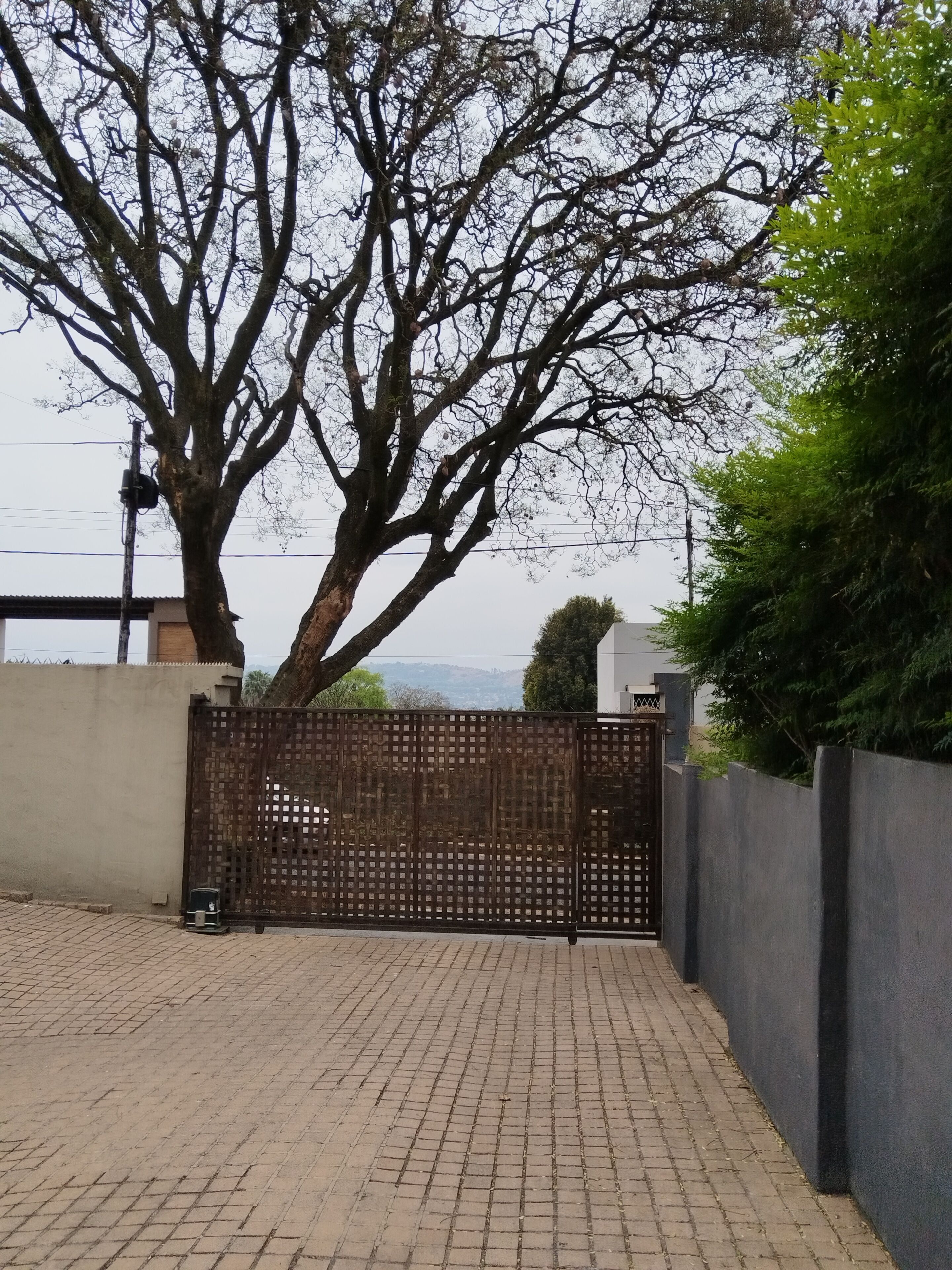 Estudio, 1 habitación, fumadores, patio | Jardines del alojamiento