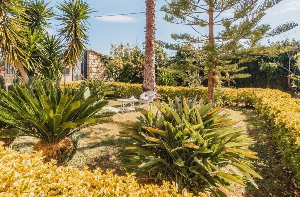 A garden with various plants and a white chair.