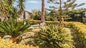 A garden with various plants and a white chair.