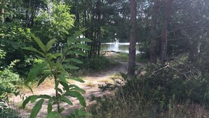 Ett skogsområde med en grusväg som leder fram till en bro över ett vattendrag.