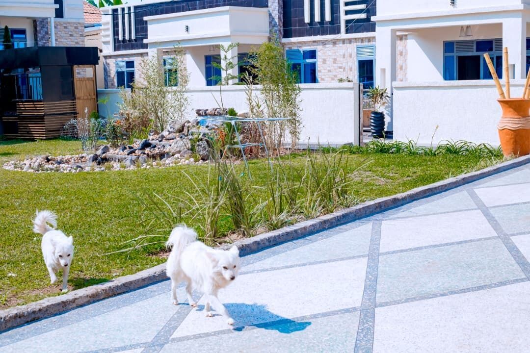 Un bâtiment moderne doté d’une allée pavée et d’un espace verdoyant agrémenté de rochers et de plantes.
