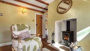 A cozy living room with a fireplace, a green and white armchair, and a patterned rug.