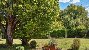 A garden with a large tree, a small bush, and a gravel area with a planter.
