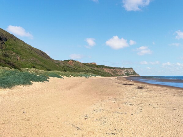 Unclassified image, 1 of 22, button