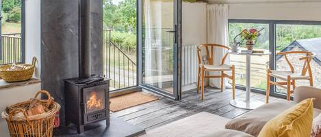 Televisión y chimenea