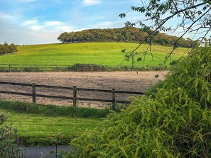 Un campo vallado con una colina al fondo.