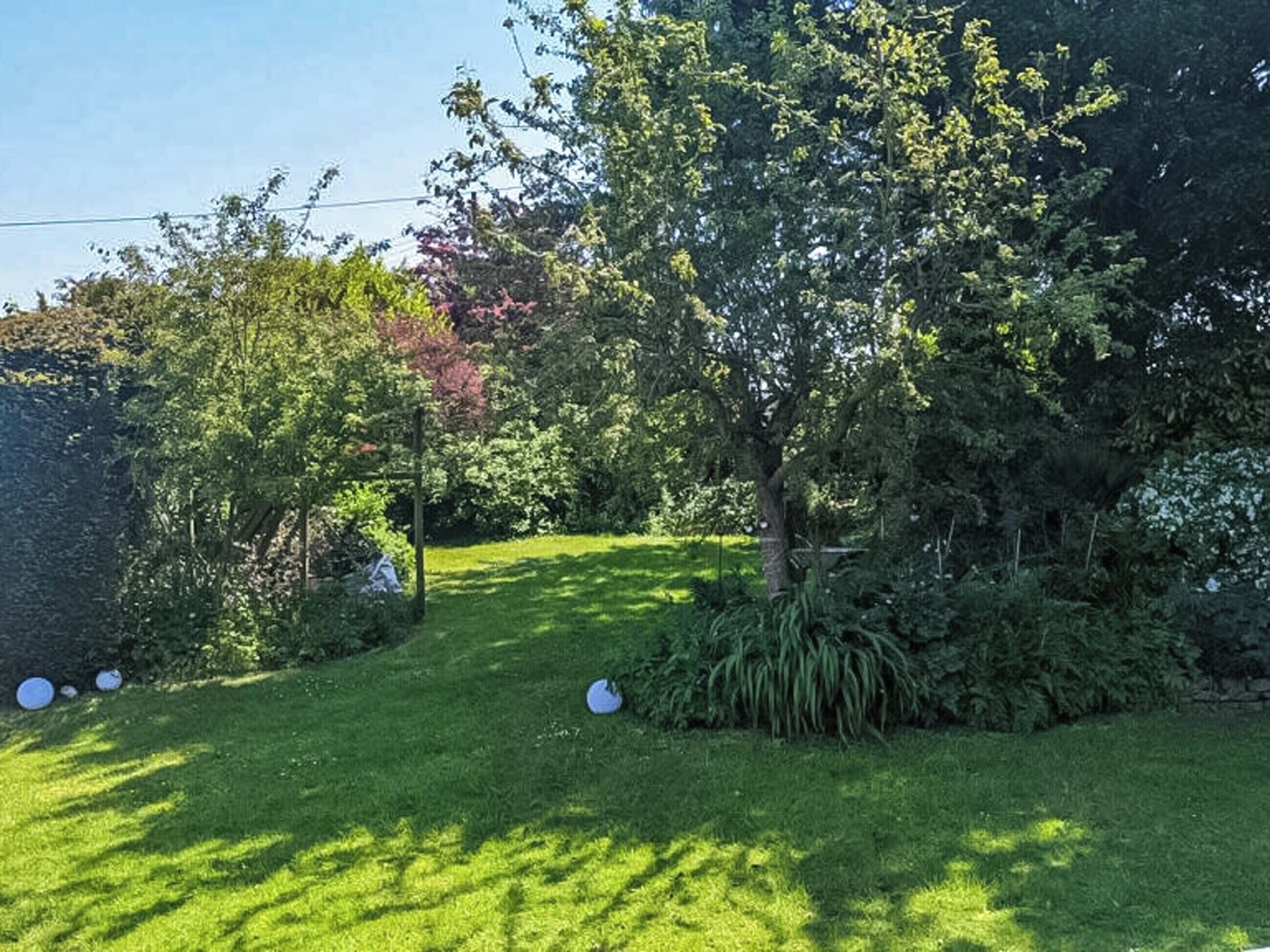 Ein gepflegter Garten mit verschiedenen Bäumen und Sträuchern, einer Rasenfläche und einem Holzzaun.