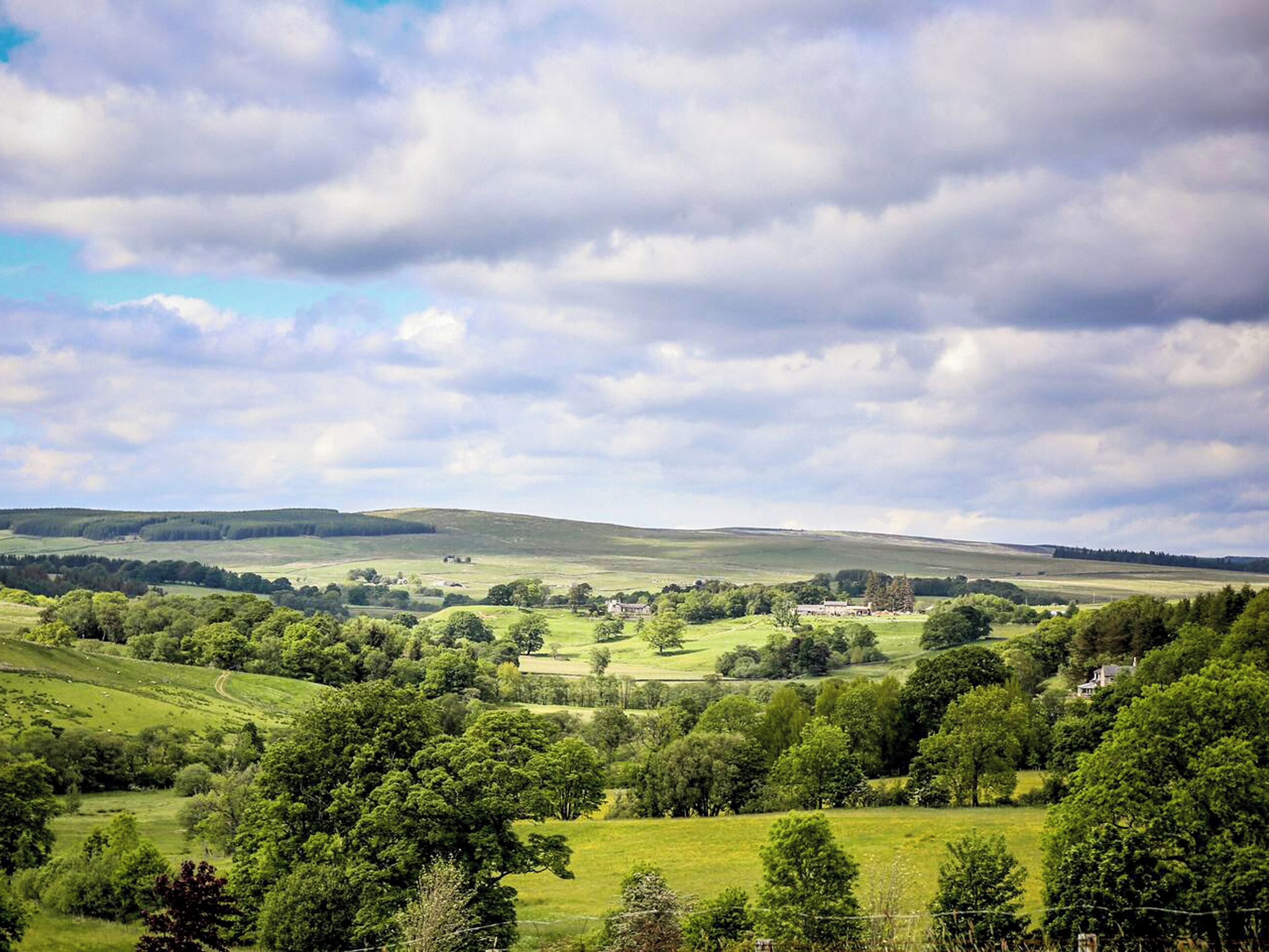 A rural landscape with rolling hills, scattered trees, and a few buildings in the distance.
