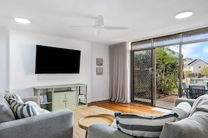 TV