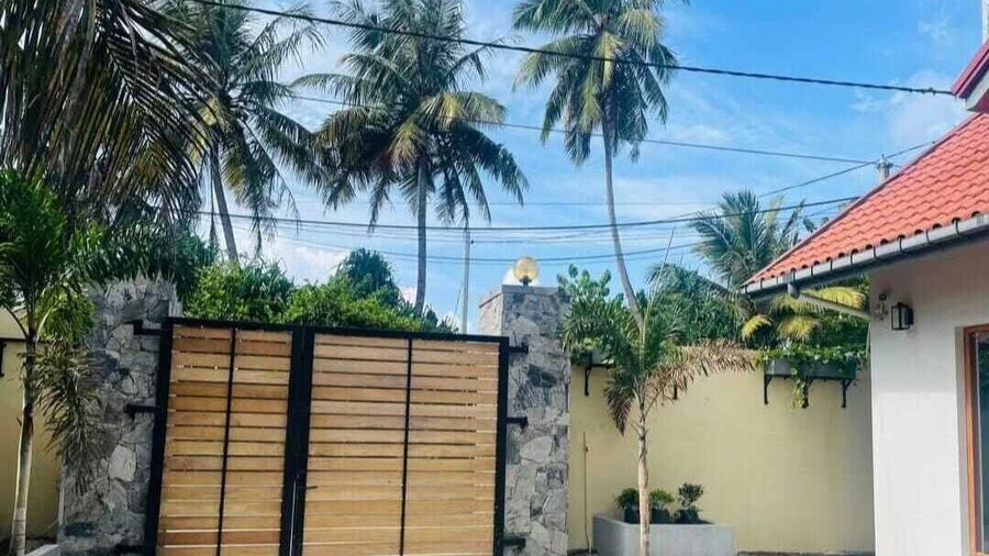 🐢 Turtle BAY View