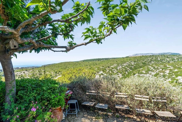 A tree with a birdhouse, a bench, and a view of a hilly landscape.