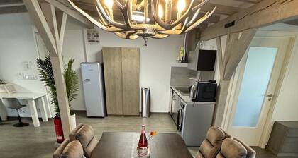 Golden Grey Loft in Bahrenfeld, Volkspark and Arena