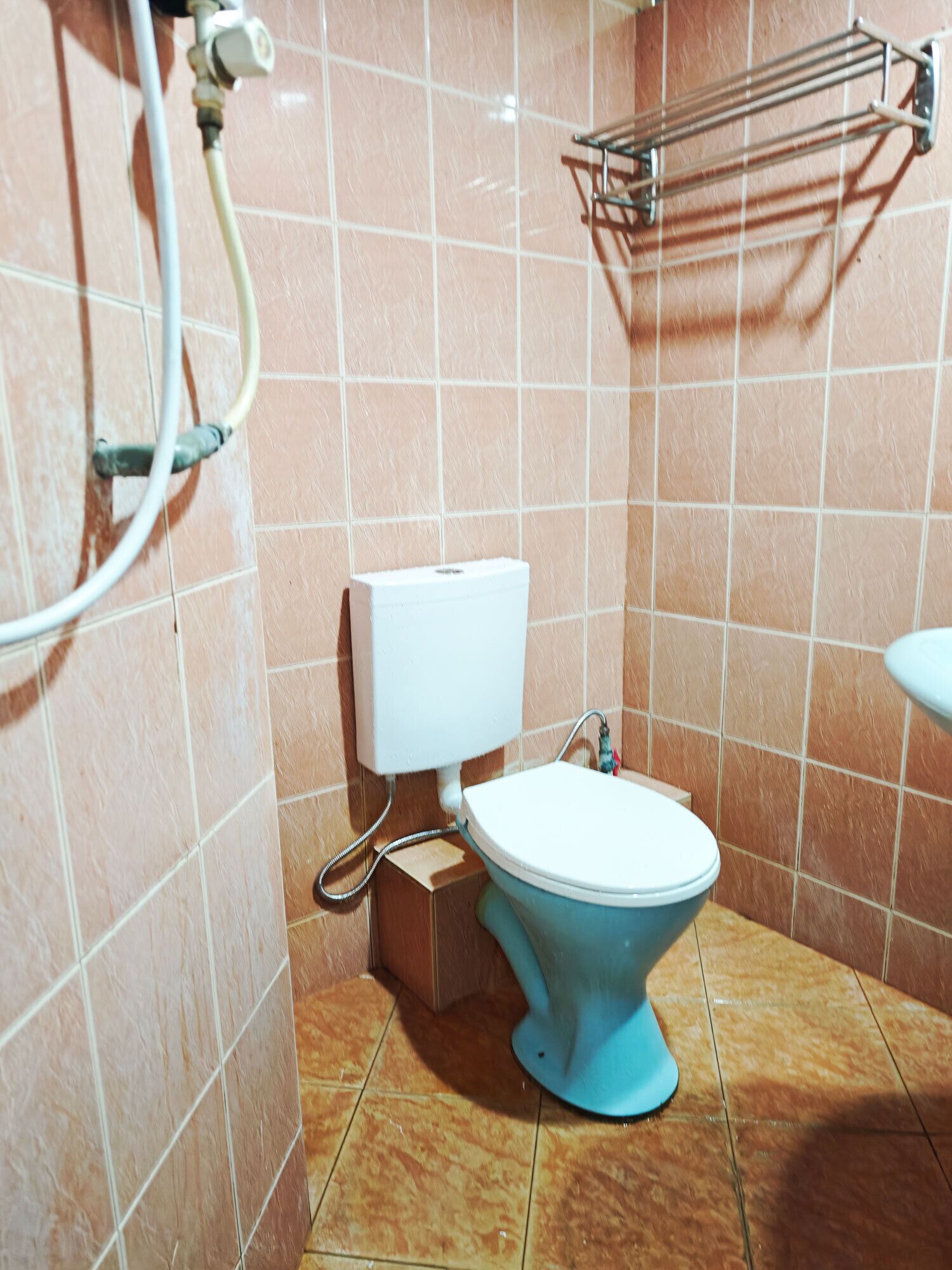 A bathroom with a toilet, a wall-mounted toilet paper holder, and a shower hose.