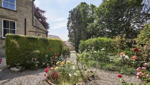 A garden with a hedge, gravel path, and various flowering plants.