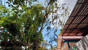 A staircase leading up to a building with a corrugated metal roof and a sign that reads "Hotel de la Playa".
