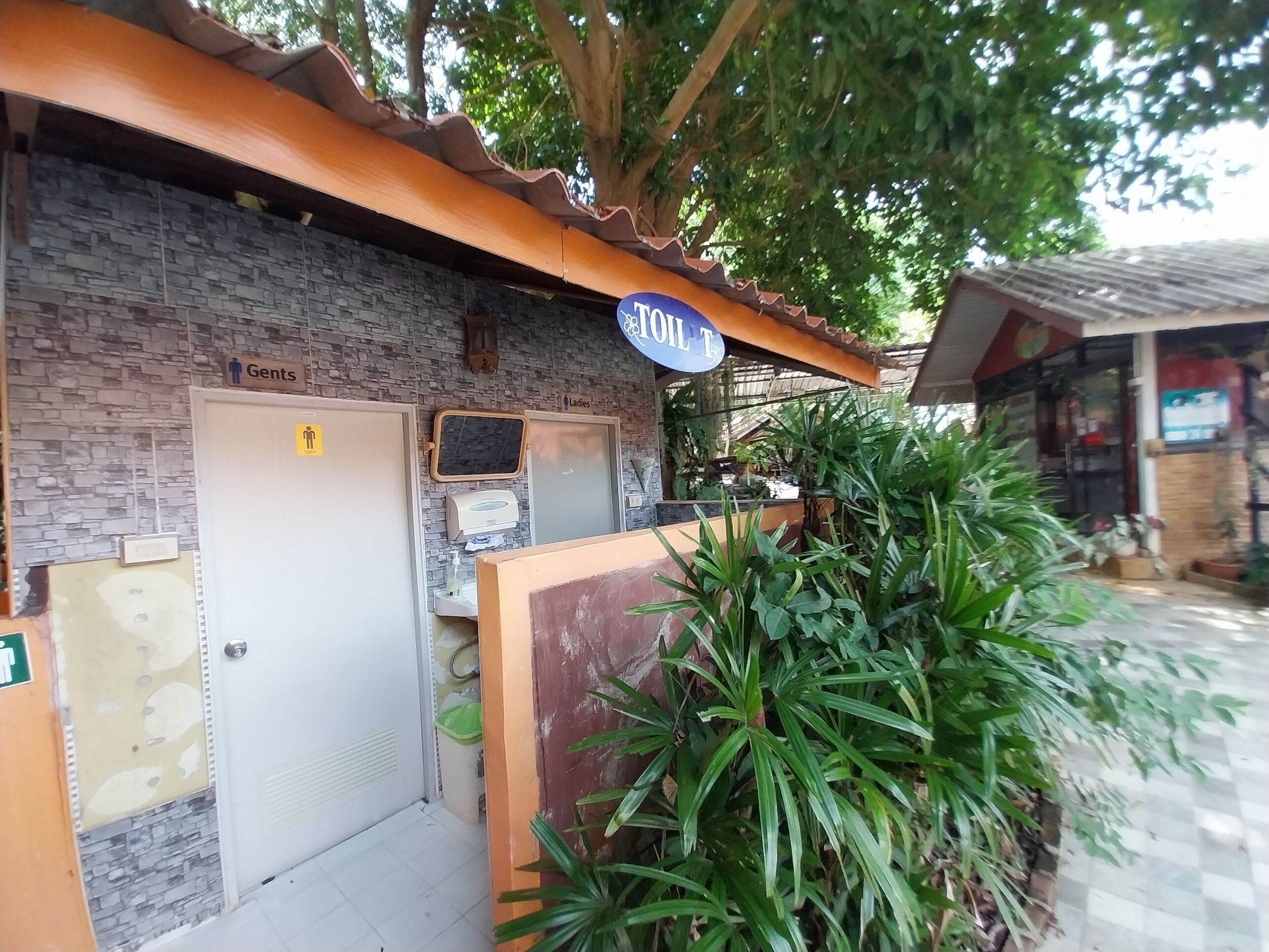 Shower, towels, toilet paper