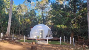 A dome-shaped structure with a door and windows, surrounded by a wooden deck and a rope fence, set in a forested area.