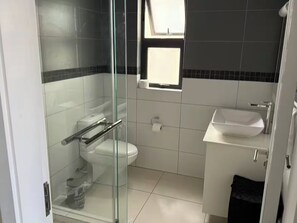 Shower, towels, toilet paper - Cozy Oceanview Apartment (Flic en Flac)