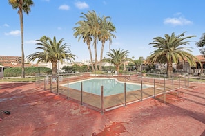 A swimming pool surrounded by palm trees and a red-tiled walkway.