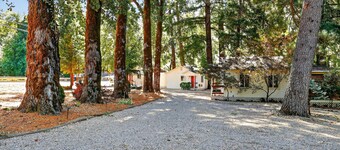 Rouge Cobb Mountain Hotel - Cabin 2