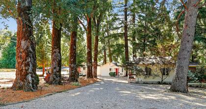 Rouge Cobb Mountain Hotel - Cabin 3