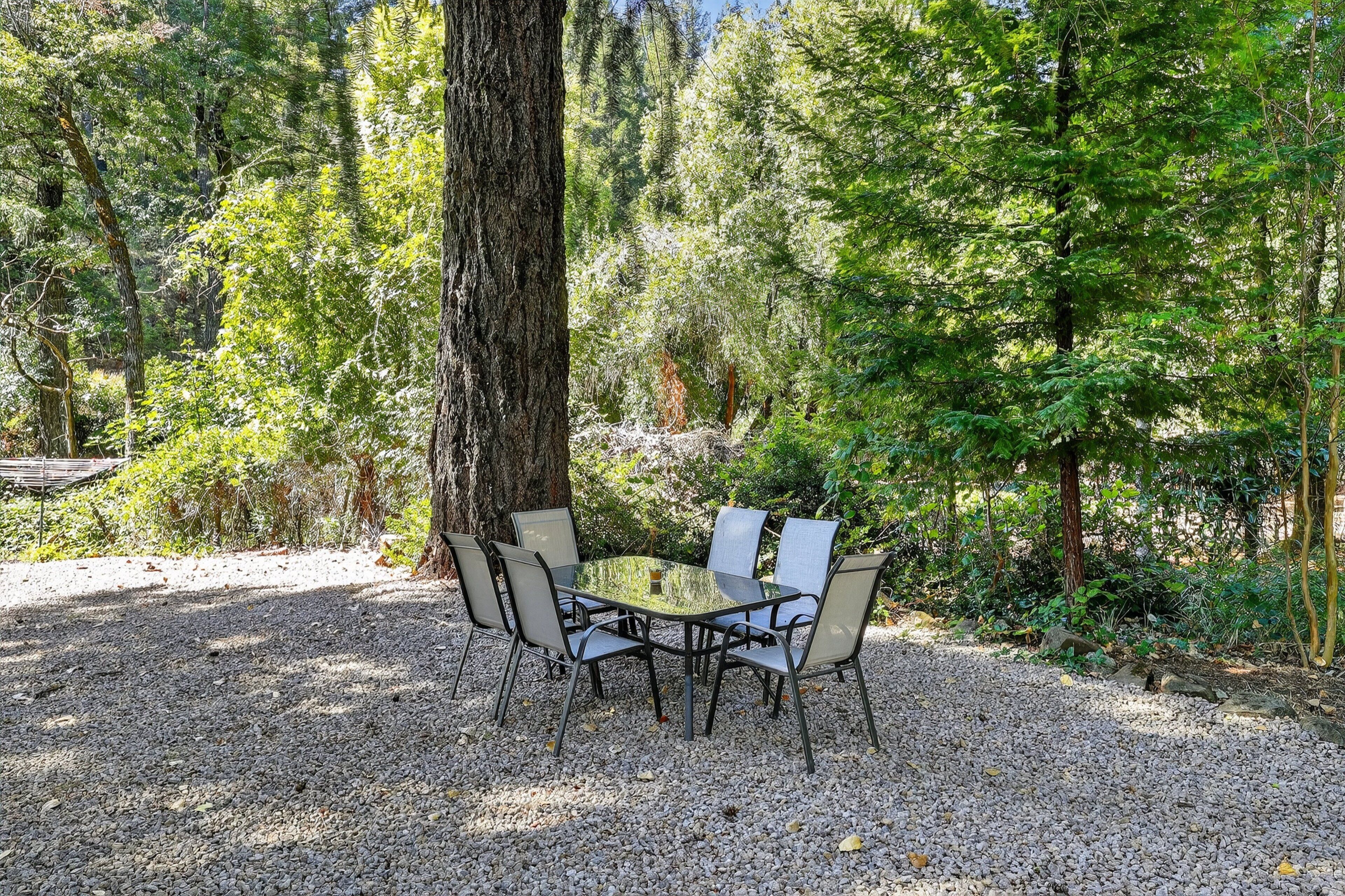 Studio | Outdoor dining